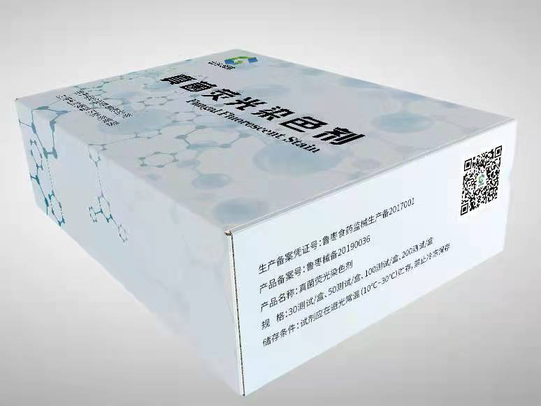 山东真菌荧光染色液厂家告诉你被真菌感染了怎么办?例如脚气