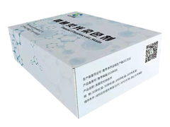 真菌荧光染色液厂家带您了解生活中常见的皮肤真菌有哪些?