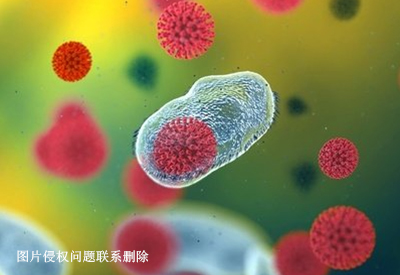 真菌荧光染色液真菌感染的危害非常苦恼生活中我们如何预防真菌感染？