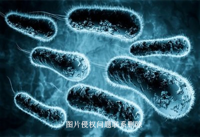 真菌荧光染色试剂厂家介绍常见真菌有哪些?