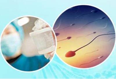 精子真菌荧光染色液原理表明男科实验室评估精液质量的最常用的指标
