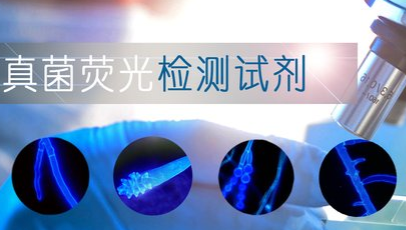 真菌染色液免疫荧光法是什么-常用于细菌菌体染色的染色液