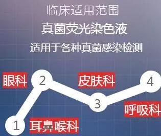 真菌荧光染色剂有哪些-细菌的简单染色方法介绍