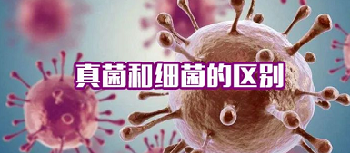 真菌荧光染色剂有污染吗真菌、细菌之间区别再傻傻分不清
