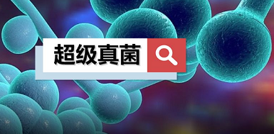 医院真菌染色液价格能与各类真菌结合发出荧光新型检测真菌的方法
