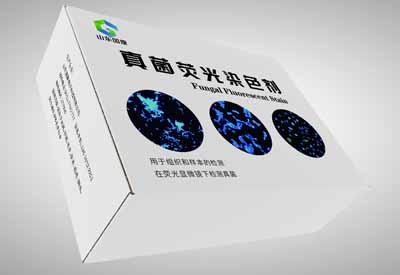 真菌荧光染色剂厂家：助力各领域真菌检测与研究