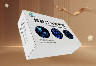 真菌荧光染色剂 真菌荧光染色剂