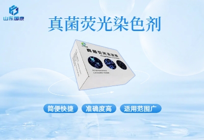 真菌荧光.jpg