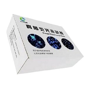 真菌荧光染色剂.png