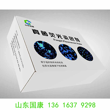 为什么真菌荧光染色试剂液能让真菌“无处藏身”？