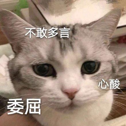 真菌荧光染色液